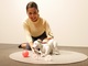 LTEで通信OK：ソニーの犬型ロボット「aibo（アイボ）」復活　1月11日発売