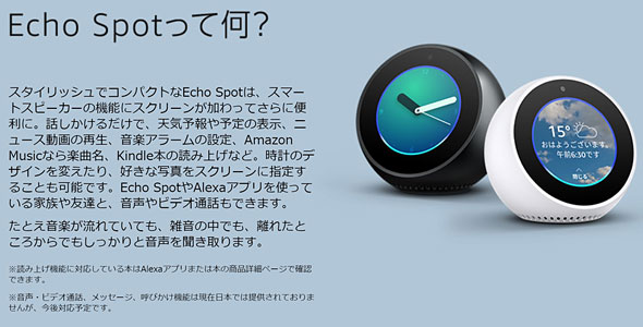 Echo Spot