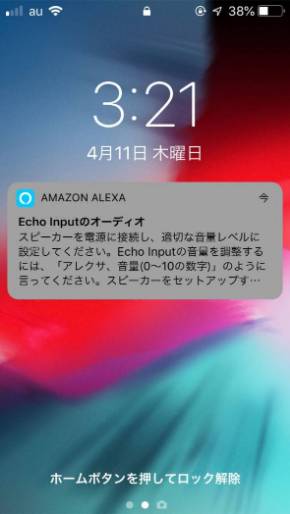 Echo Input