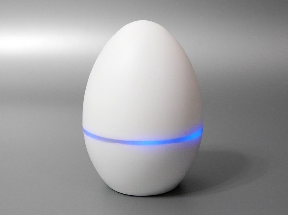 egg10