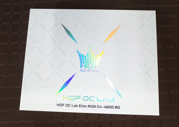 HOF OC Lab Elite RGB D4-4600 8G