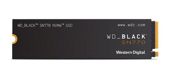 WDS250G3X0E-00B3N0