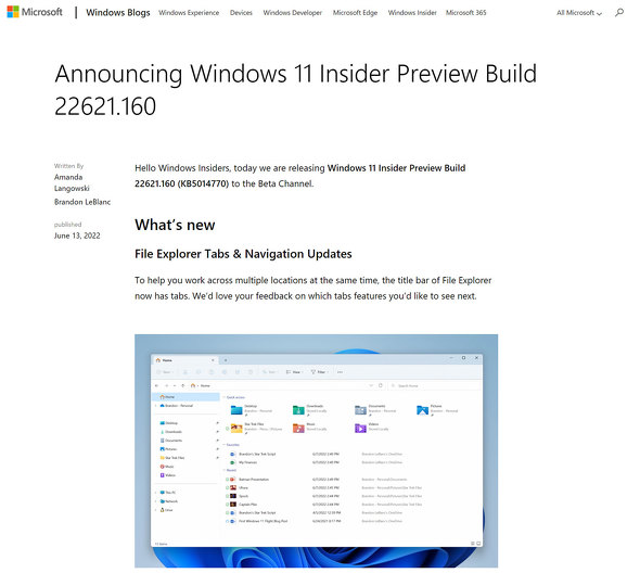 MicrosoftがWindows 11「Build 22621」をBetaチャネルで公開 ファイル 