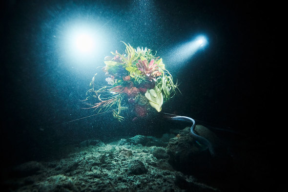 In Bloom project #3 SEPHIROTHIC FLOWERFDiving Into The Unknown