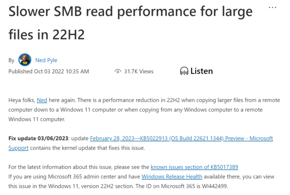 uWindows 11 22H2vŋt@C̃Rs[ɎԂ肪