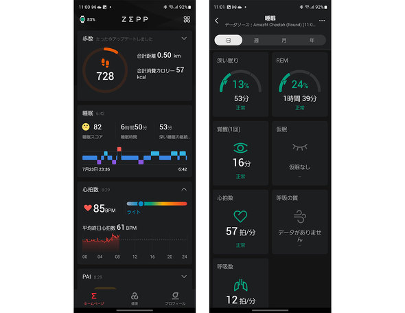 Amazfit i[ X}[gEHb` Cheetah