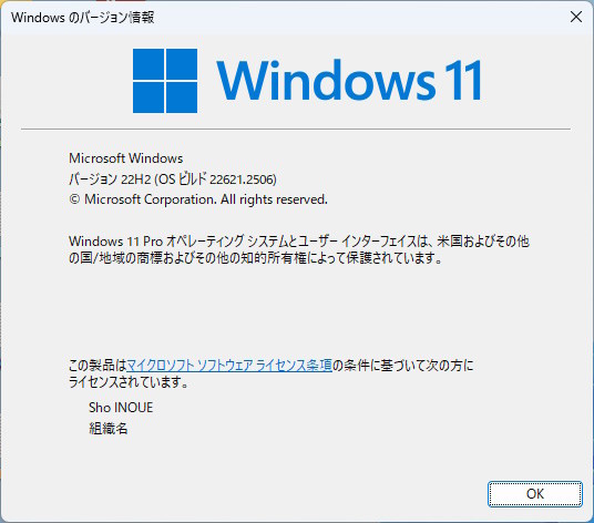 Windows 11版