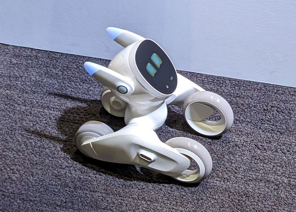 ChatGPT活用のペットロボット「Loona Blue」、Ankerが発売 月額不要で 