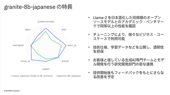 {ACEr[EG IBM RvВ eNmW[Jpj[ ln̈