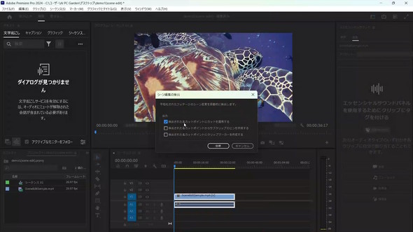 Premiere Pro