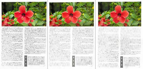 iPad Pro M4  XL r AJ A_veBuTrue TonetbV