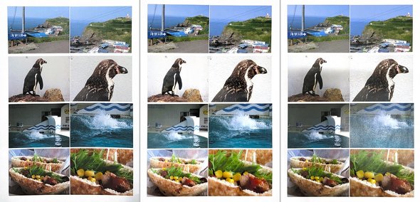 iPad Pro M4  XL r AJ A_veBuTrue TonetbV