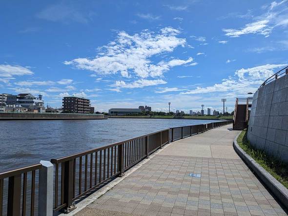 Google Pixel 9 Pro Fold ܂肽 X}z 3 X 8^ ^ubg