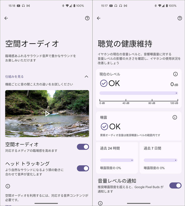 Google Pixel Buds Pro 2 SCXCtH AI Porcelain Hazel Wintergreen Peony