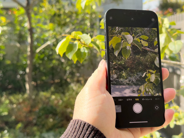 Apple Intelligence iPhone 16e z[{^ Lightning USB Type-C S