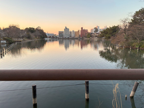 Apple Intelligence iPhone 16e z[{^ Lightning USB Type-C S