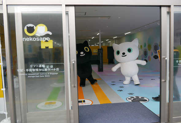 E֐ F ߂ {۔ V G ǂ