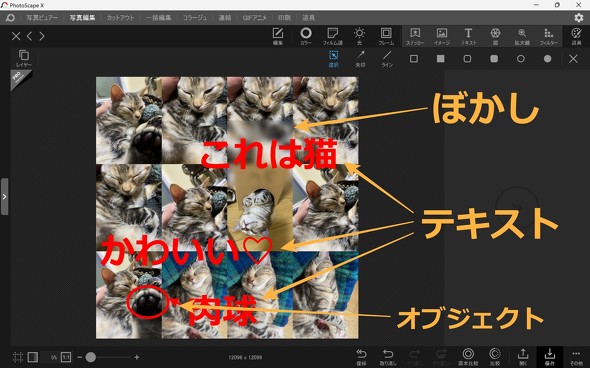 ���H�̓���