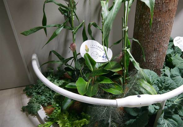 pi\jbNO[vprI m̍ E֐ F ߂