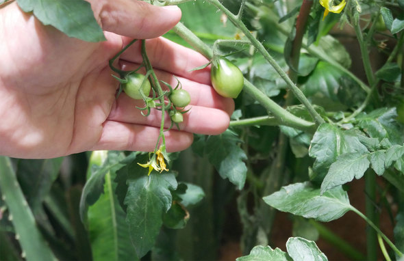 pi\jbNO[vprI m̍ E֐ F ߂