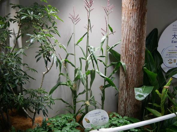 pi\jbNO[vprI m̍ E֐ F ߂