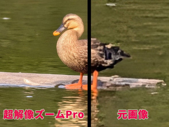 Google 10 Pro XL X}[gtH V^ Tensor G5 ZLeB  J