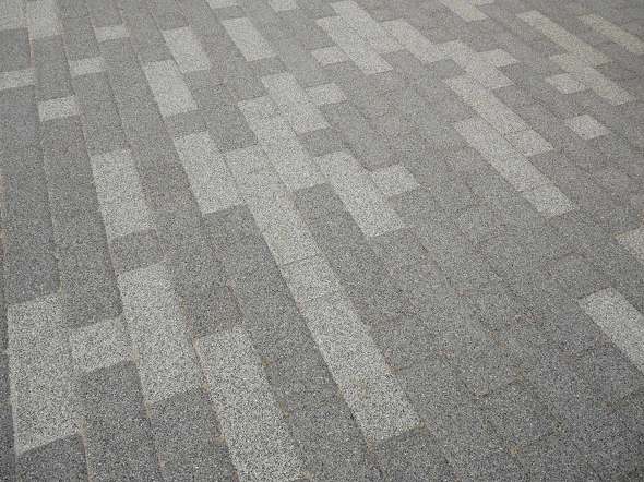 pi\jbN m̍ E֐ 20205 TCN p prI