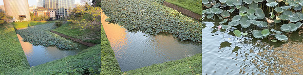 Apple Apple iPhone Air X}[gtH X ʐ^ ^ J A19 Pro