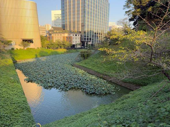 Apple Apple iPhone 17 Pro Air X}z  v iOS 26 J[ A19