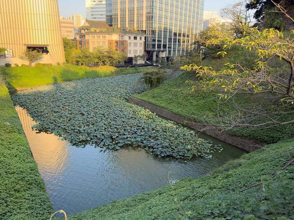 Apple Apple iPhone 17 Pro Air X}z  v iOS 26 J[ A19