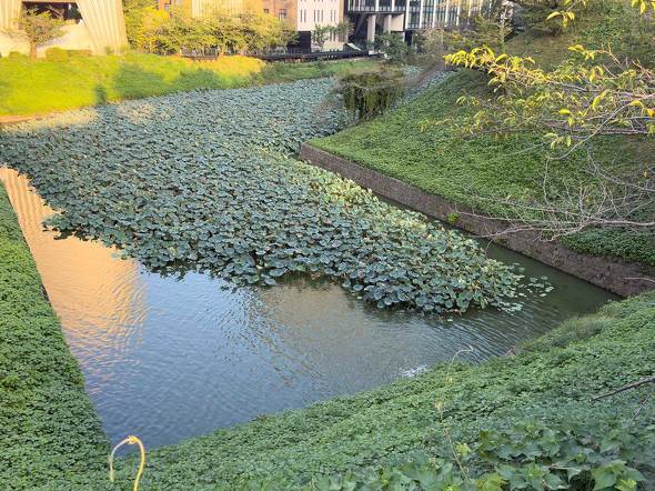 Apple Apple iPhone 17 Pro Air X}z  v iOS 26 J[ A19