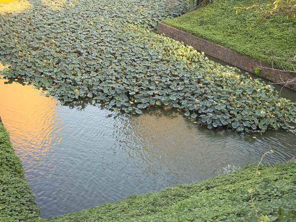 Apple Apple iPhone 17 Pro Air X}z  v iOS 26 J[ A19