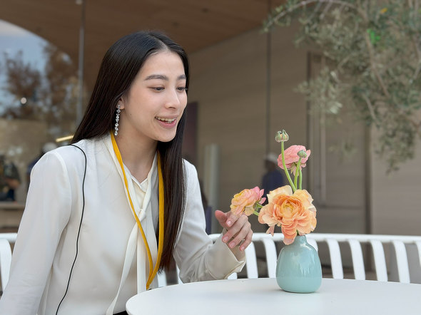 Apple Apple iPhone 17 Pro Air X}z  v iOS 26 J[ A19