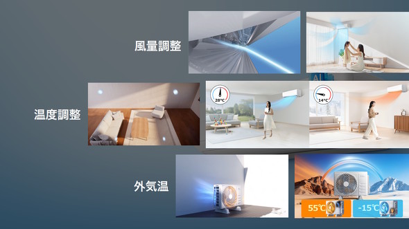 ���{����