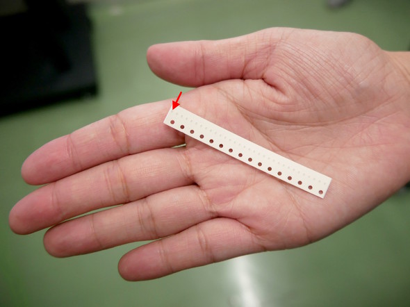 �������c�c�������ł�