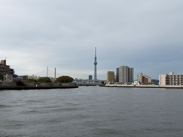 Apple �V�^ �X�}�[�g�t�H�� iPhone Air �X���� �y�� 1�� A19 Pro �y�� MagSafe