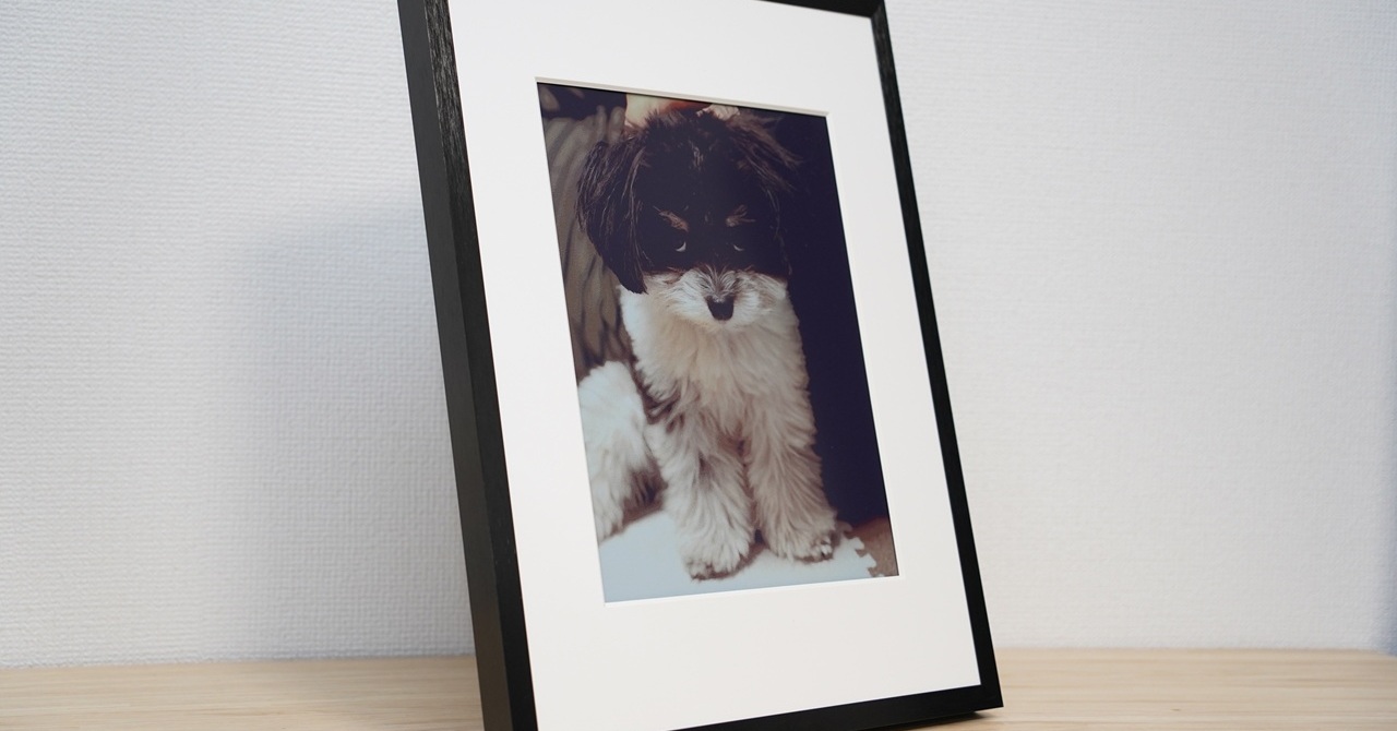 画像が削除されました