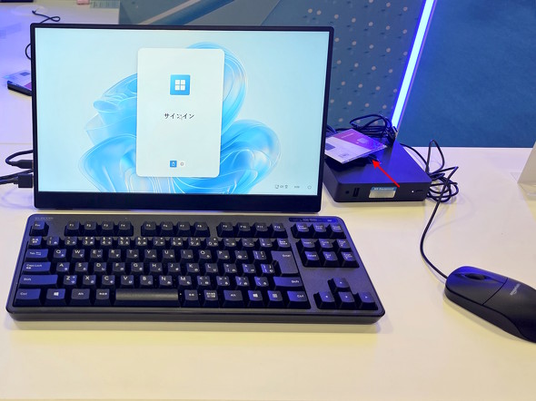 �T�C���C����