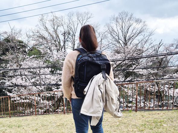 �W���P�b�g���z���_�[��