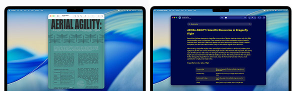 Hikawa Grip APPLE GAAD �A�N�Z�V�r���e�B ���� �����R���g���[�� Apple Intelligence