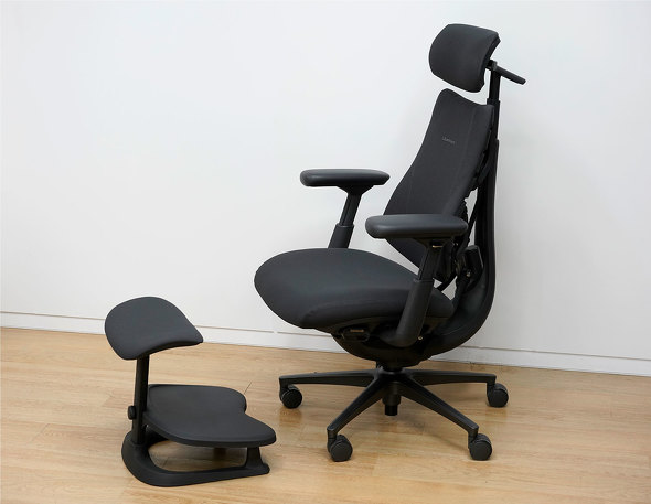 �d�����[�N�`�F�A�̑�2���ヂ�f���uLiberNovo Omni Pro�v�i�E�j�ƁA�I�v�V�����́u�t�b�g���X�g