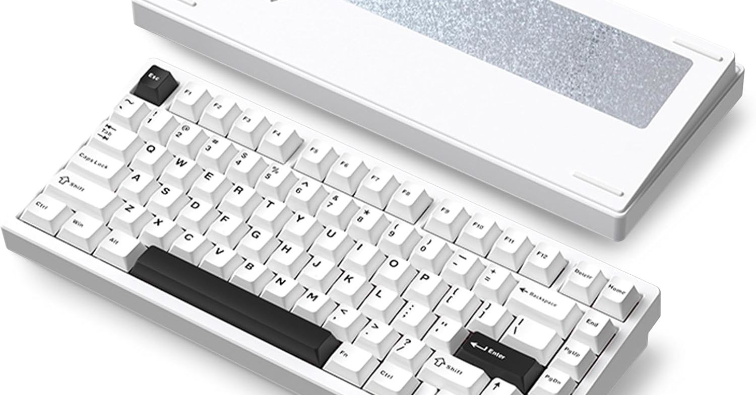 気持ちよすぎるタイピング音が評判の「WOBKEY Rainy 75メカニカル