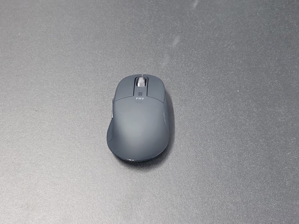 FMV Mouse X