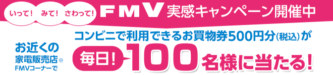 FMV�����L�����y�[���J�Ò�