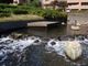 東京23区でも小水力発電へ、高低差の少ない親水公園で調査開始