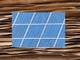 25MWのバイオマスと1.8MWの太陽光を鹿児島で、製紙会社が挑む