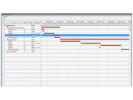 Project Planning with WBS