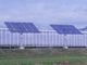 農地に太陽光発電とイチジク栽培、追尾型システムで発電量は1.5倍