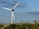 神話を破壊、111％の電力生むデンマークの風力