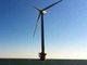 洋上風力の拡大へ政府が新法案、一般海域の30年占用を可能に